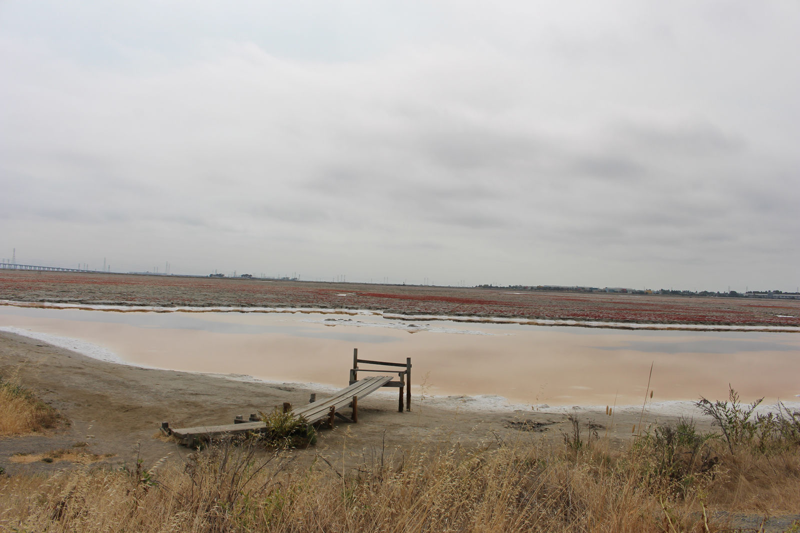 Ravenswood salt ponds